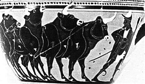 hermes and apollo's cows|hermes and the lyre.